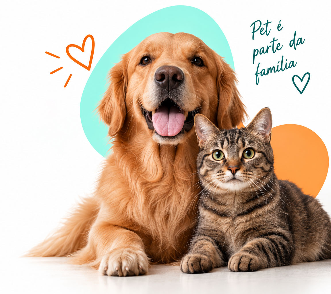 Golden Retriever e gato felizes na Mel Pet Shop